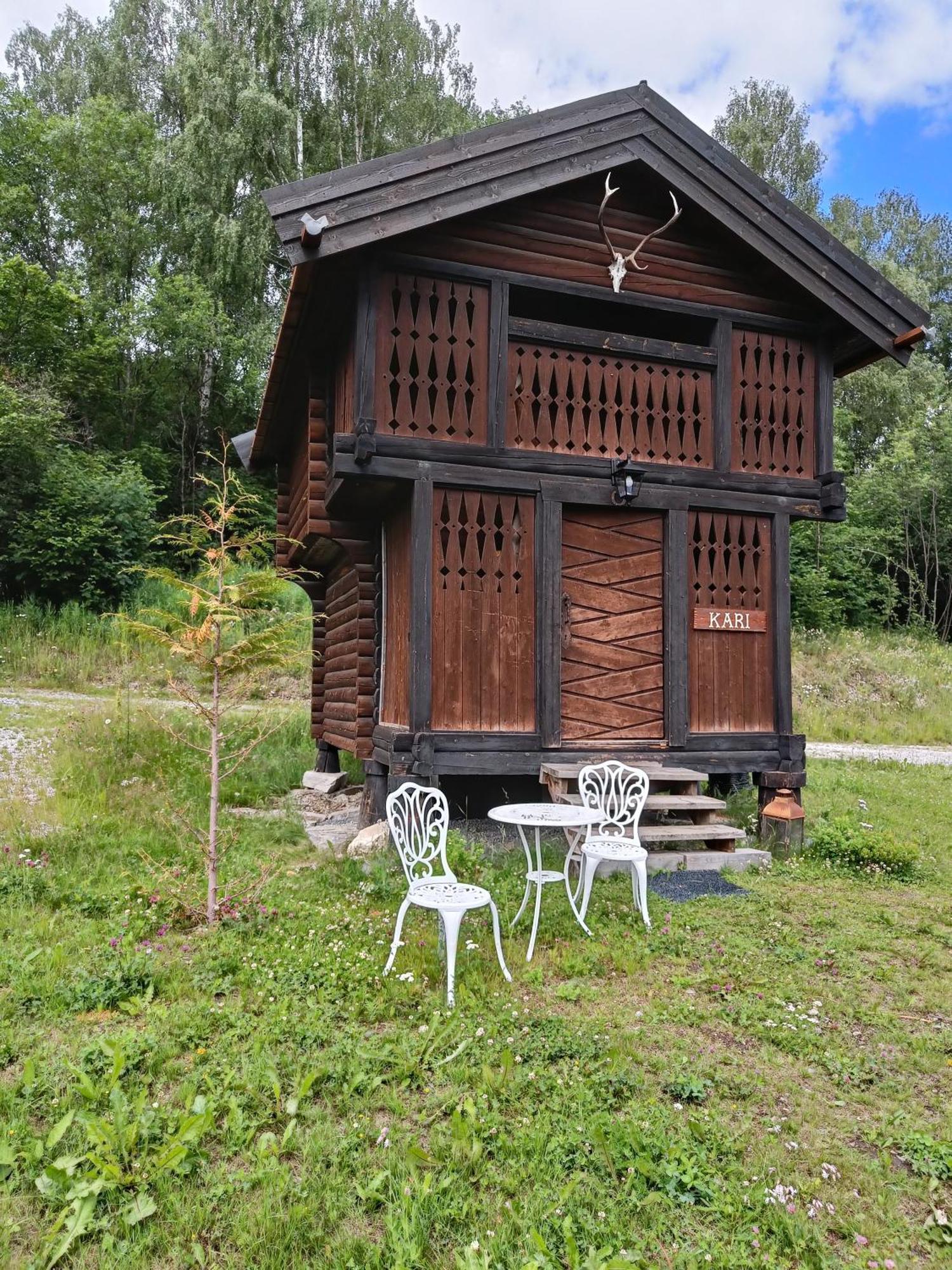 Appartement Hesla Farm à Gol Extérieur photo