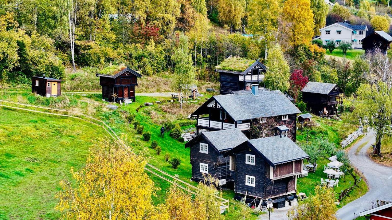 Appartement Hesla Farm à Gol Extérieur photo